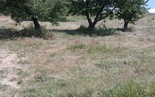 Teren Intravilan Chicerea, 3000 mp, Construibil, Utilități - Poză 4