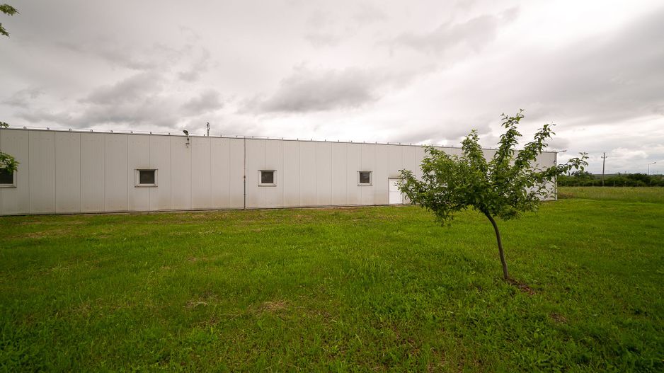 Hală industrială/producție în Lipova - Arad - Poză 6