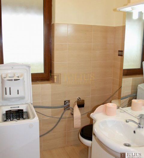 In apropierea complex-ului ISHO - Badea Cartan, centrala proprie - Poză 10