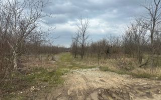 Teren intravilan cu PUZ aprobat 33.683 mp – Săftica/Balotești – deschidere DN1 - Poză 20