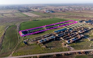 NĂDLAC | Teren 1.15 HA lângă Autostradă | 2.500mp Hale