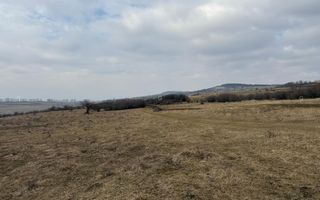Teren 6,75 ha | Panoramă și Acces Excelent | Dealul Daii - Poză 6