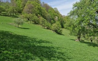 Langa emblematicul Castelul Bran, in areal colinar, 5.700mp intravilan - Poză 10