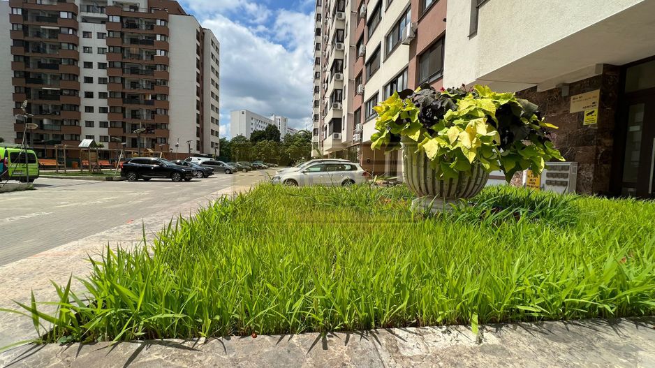 Apartament 2 camere open-space Newton Tatarasi - Poză 24