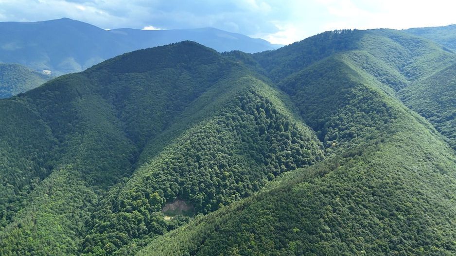 Teren intravilan 3000mp, Regim P+1+M, Sibiu, Tocile - Sadu - Poză 8