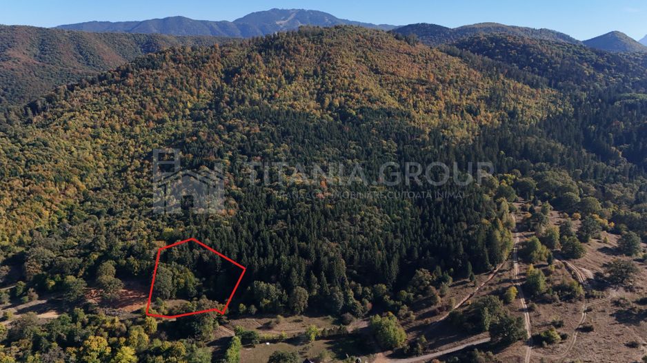 Aproape de Brașov, departe de agitație - Teren cu pădure în Cristian - Poză 5