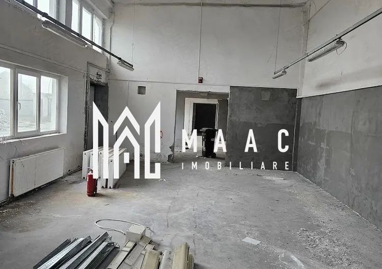 Hala I Spatiu Comercial I Nocrich - Poză 9