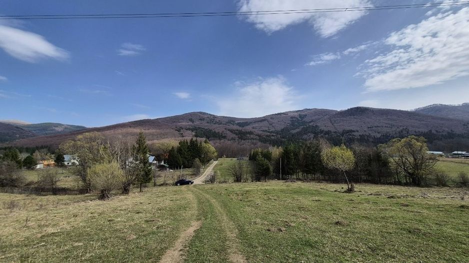 Teren intravilan la baza pădurii Valea Doftanei sat Traisteni (poduri) - Poză 3