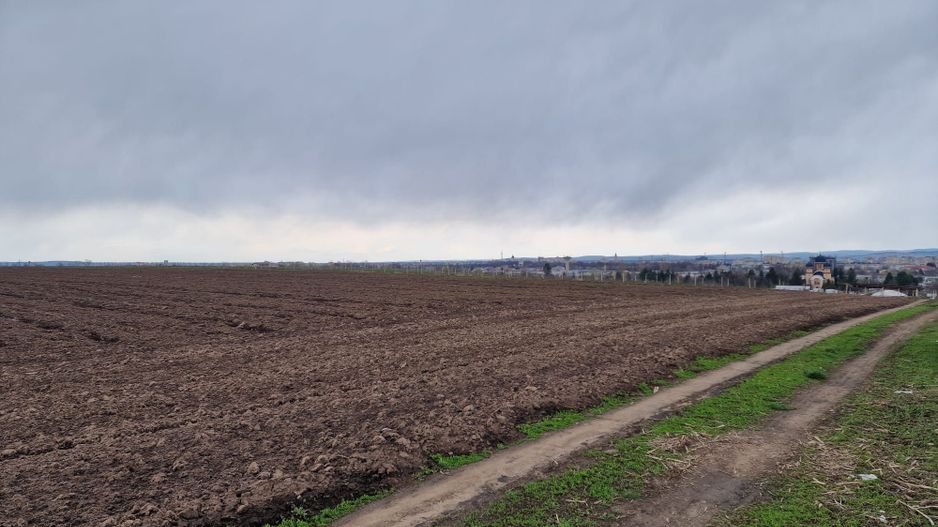 Teren 10,000mp Bacau / Strada Alexandru Safran - Poză 13