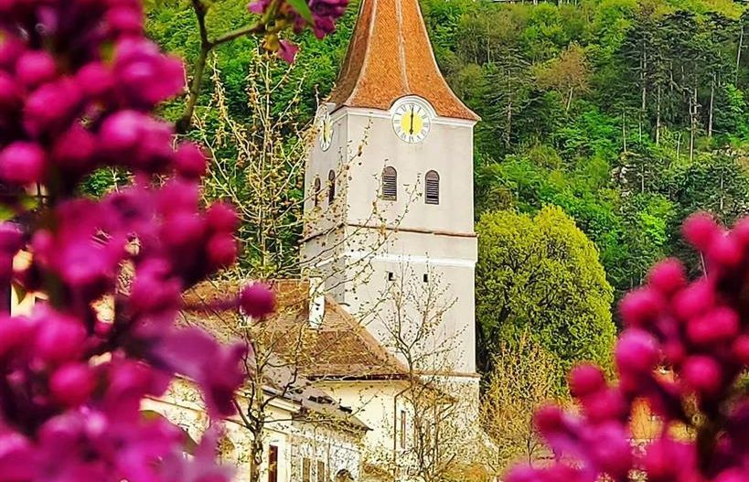 Teren intravilan, pe 2.623mp, zona de case, Rasnov, Brasov - Poză 3