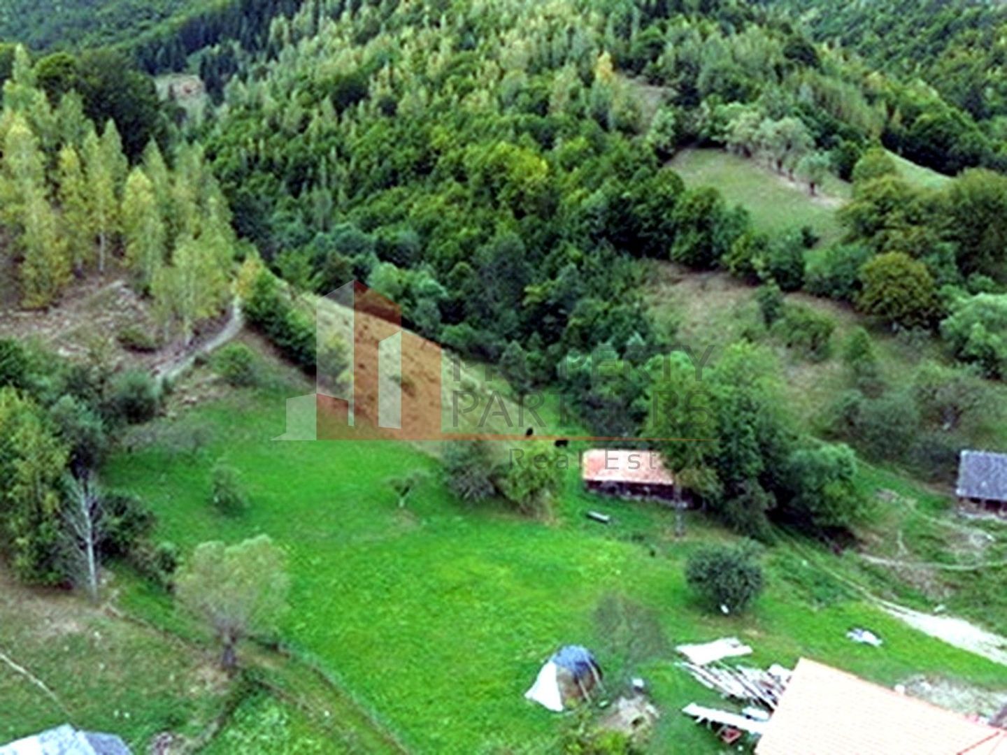 Teren de investiție în Moieciu, lângă Castelul Bran – 11.381 mp, vedere Bucegi - Poză 15