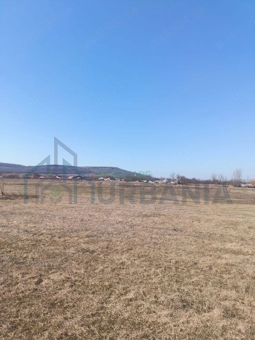 Teren arabil 1 ha în Cilibiu, Golaiesti - Poză 2