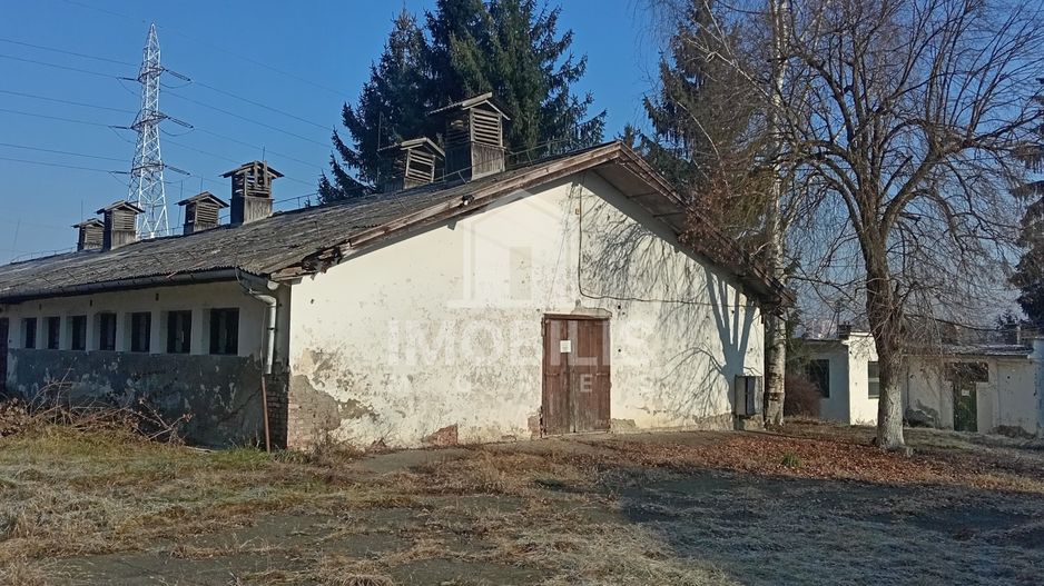 Teren intravilan I 13134 mp I cu potențial de business | zona Budiu - Poză 7