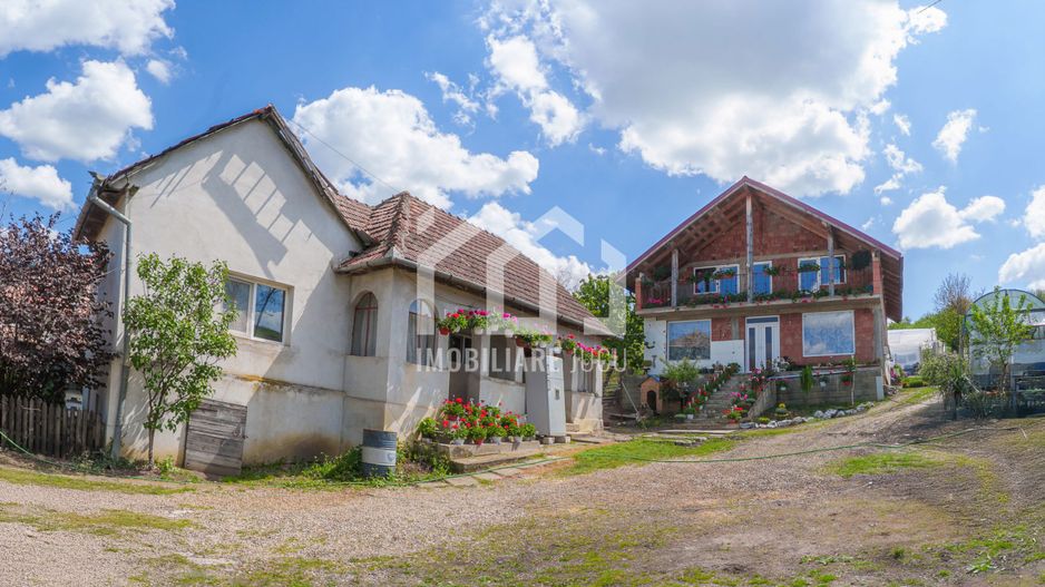 Casă familială spațioasă în Visea, comuna Jucu - Poză 3