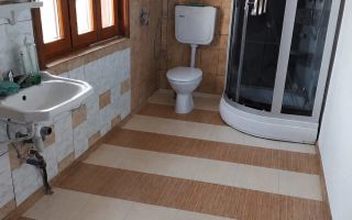 Casă de vânzare în sat Hilița, comuna Costuleni, la 22 km de Iași - Poză 5