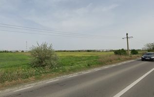 Teren intravilan pentru hale industriale / logistică – Varianta Constanța–Ovidiu