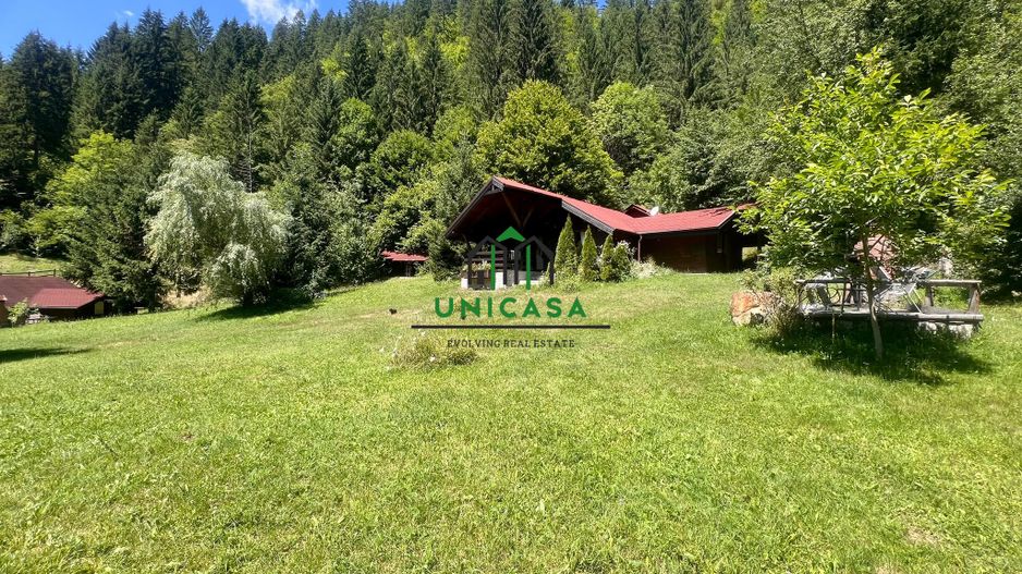 Proprietate deosebita de vanzare – Voinesița, Comuna Voineasa - Poză 7