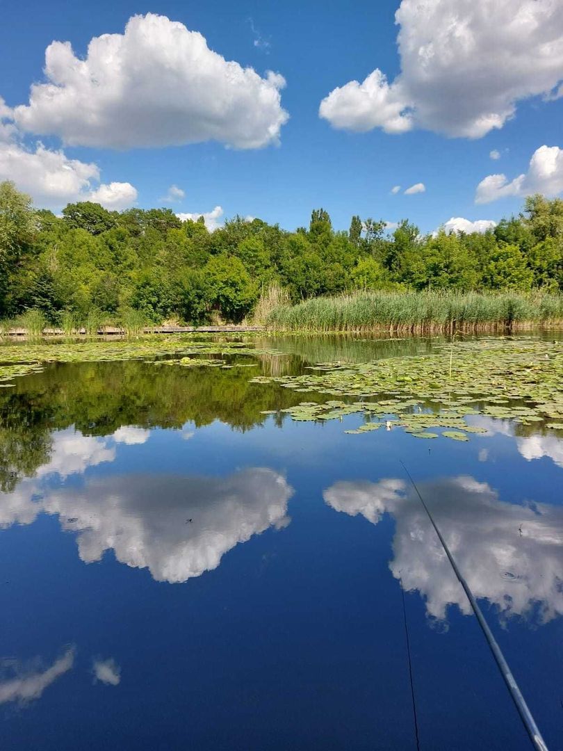 Vila cu ponton de inchiriat | Lacul Snagov - Poză 3