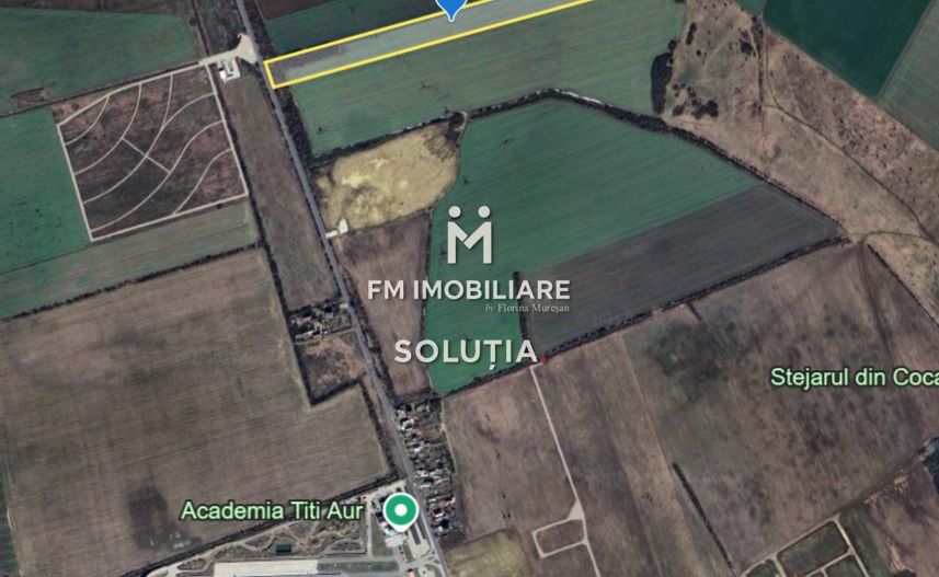 Teren intravilan – Crevedia – 62 de parcele – Acces din DN1A - Poză 2