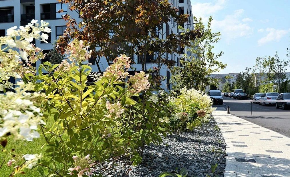 Apartament cu 4 camere de închiriat în zona Vivo. - Poză 17