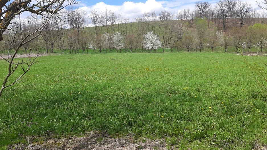 Casă cu teren generos la Bodo - Poză 3