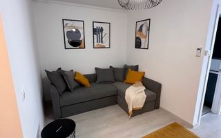 HILS BRAUNER | Proprietar | GARSONIERA premium - Poză 1