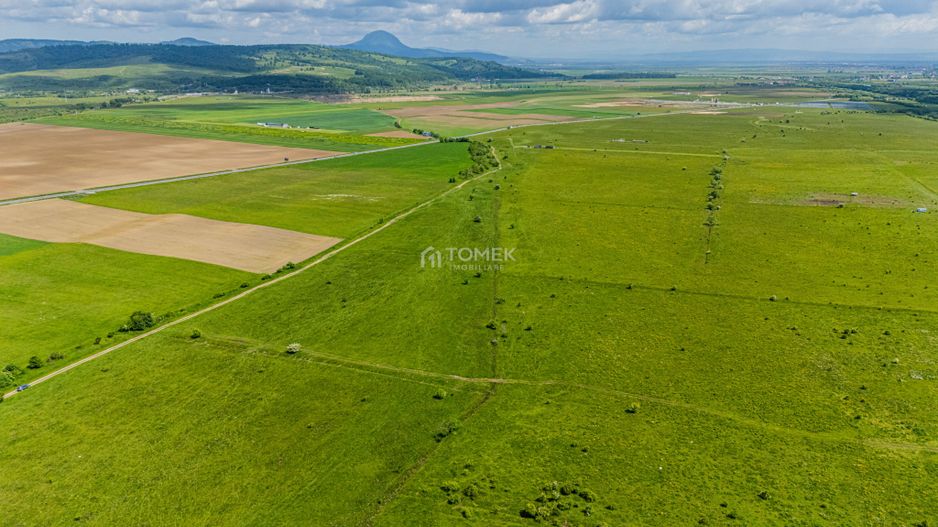 Teren de investiție în zona Tohanul Nou - Bran  5.800 mp - Poză 17