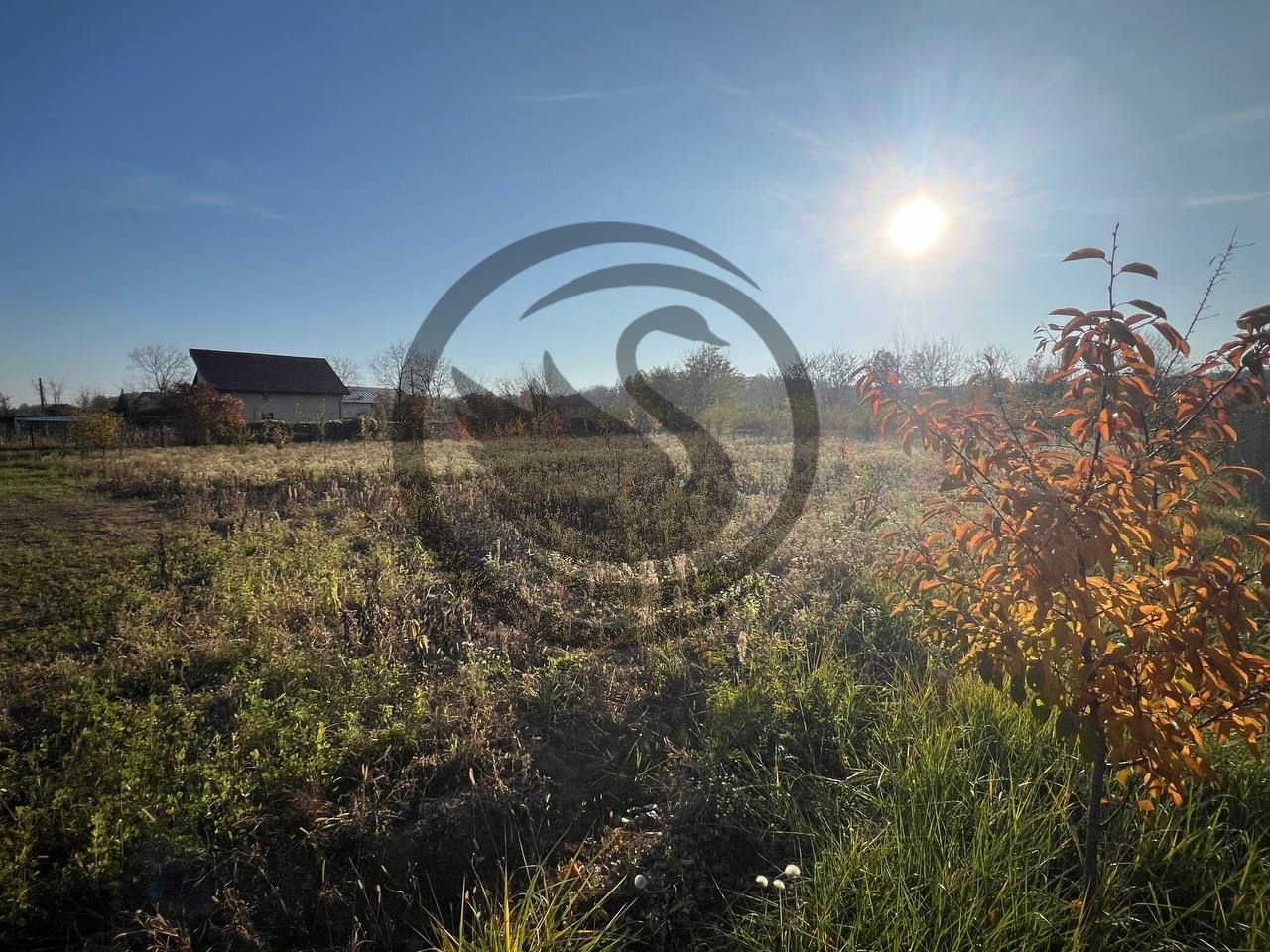 Teren intravilan de vanzare | 12.650 mp | Ghirdoveni, | COMISION 0% - Poză 11