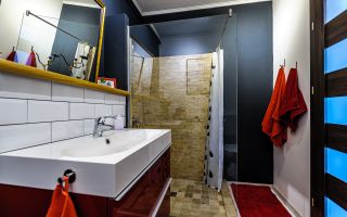 Apartament cu o cameră zona Romanilor - Poză 5