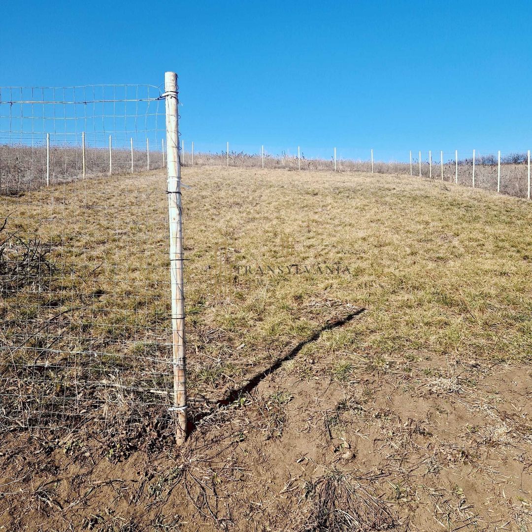 Teren cu priveliște superbă spre Sibiu și munți – Șura Mare - Poză 3