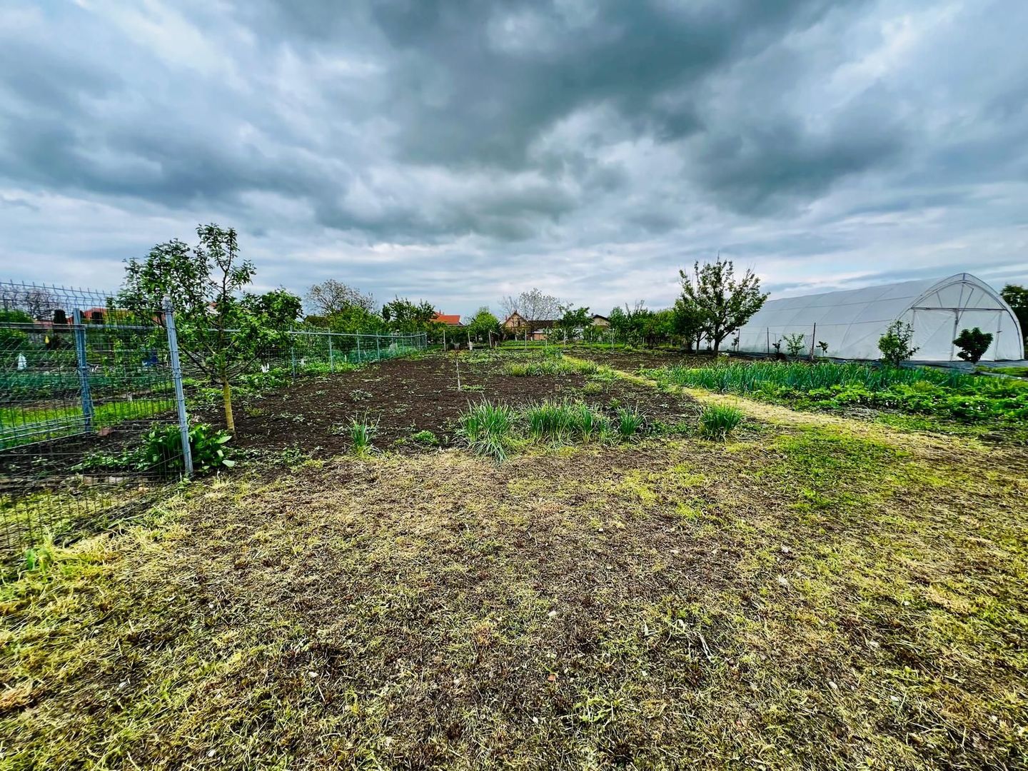 Casa Individuala 5 camere - Localitatea Liebling-  COMISION 0 % - Poză 17