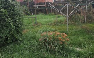 Casă de Vânzare | 3 Camere | 140 MPU | Anexe | Comuna Rosia - Poză 16