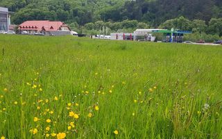 In evantaiul padurii, 750mp teren - Poză 5