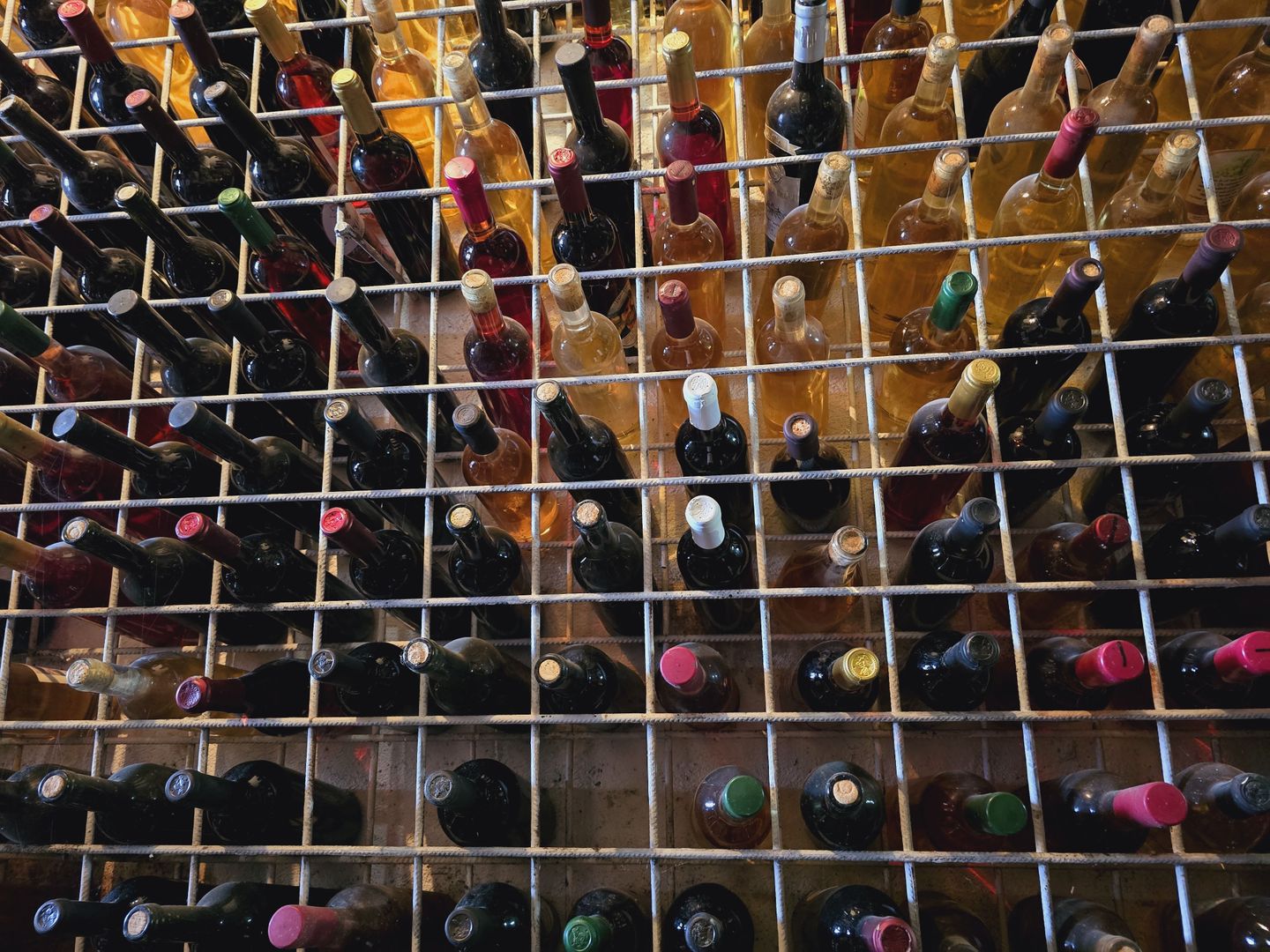 Vie Tradițională „Halta Lupilor” - Poză 22