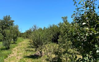 Casa 3 camere I Acces auto I Teren 1.177 mp I Cisnadioara - Poză 7