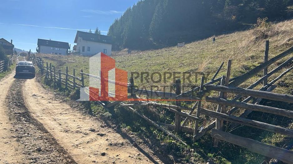 Teren Fundatica intravilan 4500 mp - Poză 15