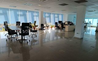 Hală logistică + Spaţii Birouri - Poză 16