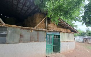 VANZARE CASA | TEREN 2.500 MP | LIVADA SI GRADINA | COMUNA BEUCA, TELEORMAN - Poză 4
