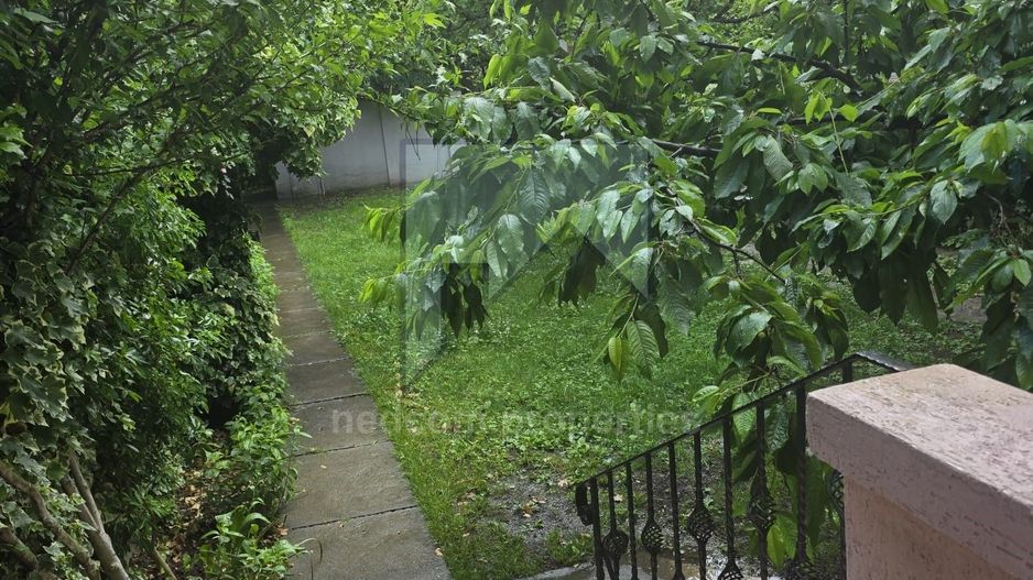 Vanzare Vila P+D Domenii - Poză 1