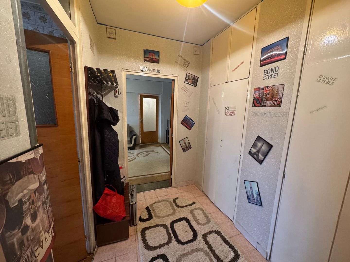 2 Camere Campia Libertatii Pet friendly - Poză 8