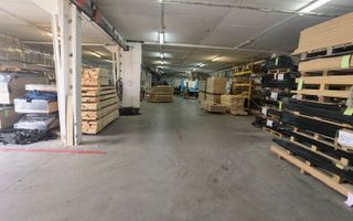 Proprietate industriala la 30 km exterior sud Timisoara - Poză 20