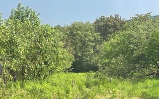 Casa 354 mp utili-teren 2200 mp-ideal business-anexa-Viisoara - Poză 4