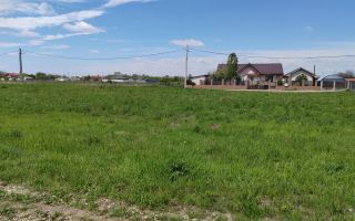 🌿 Teren de vânzare – Răcari, Str. Mestecenilor - Intrarea cu Tei - Poză 7