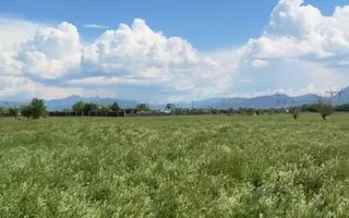 OPORTUNITATE lot de 1952mp in zona LIVADA, Sanpetru - Poză 3