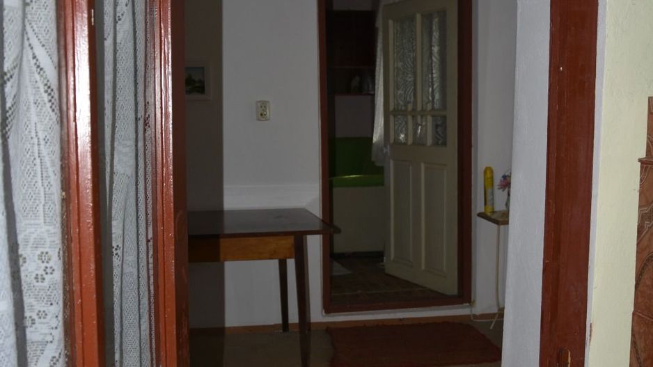 CASĂ TRADIȚIONALĂ CU GRĂDINĂ GENEROASĂ ȘI VIE – ISACCEA, JUD. TULCEA - Poză 8