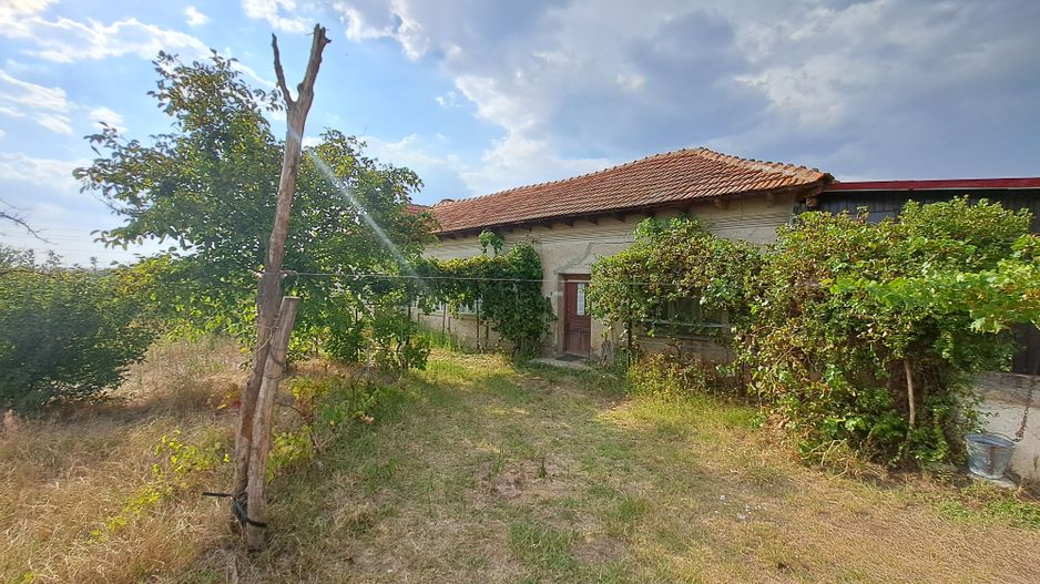 Casa + Teren 13.000 mp - Cervenia - Teleorman - Poză 13