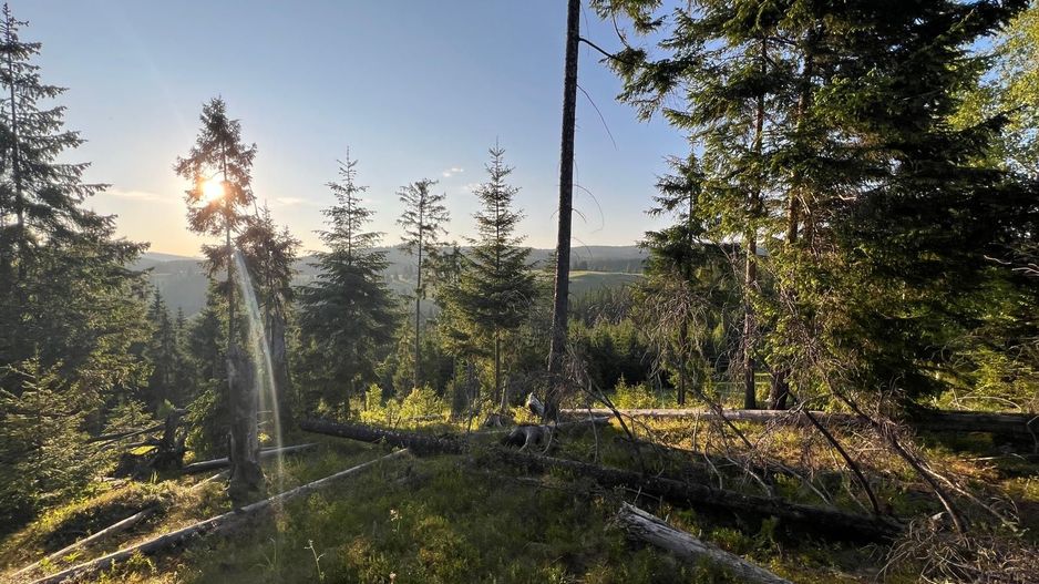 50 hectare teren | Moldova-Sulita | Potential turistic si agricol - Poză 12