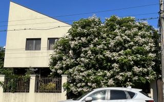 Vilă spectaculoasă în zona Brâncoveanu | 270 mp | Garaj| Curte proprie - Poză 5