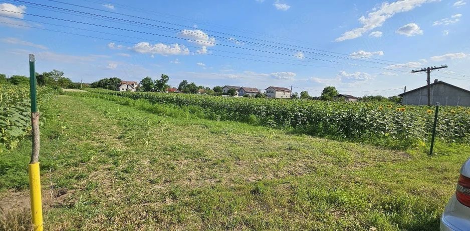 Teren intravilan 1.000 mp | Moara Vlăsiei | Strada Berzei - Poză 1
