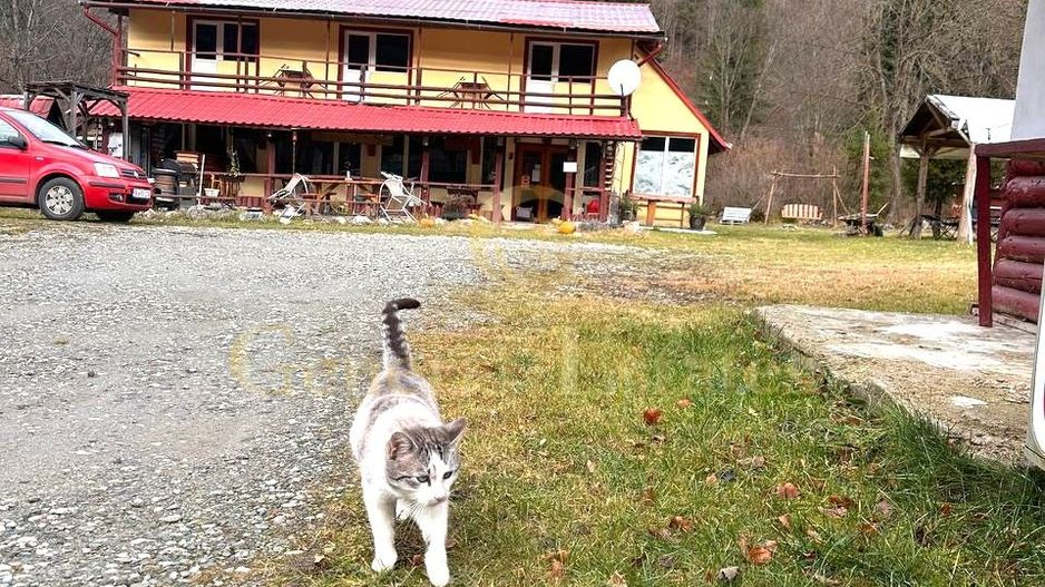 Vilă premium la munte – ideală pentru pensiune sau retreat - Poză 8